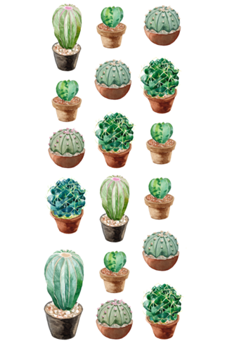 Conjunto de Cactos I