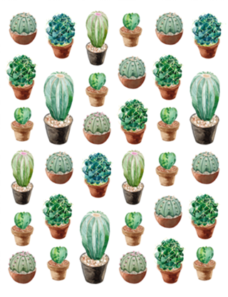 Conjunto de Cactos I