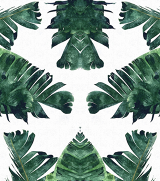 Folhas Tropicais II