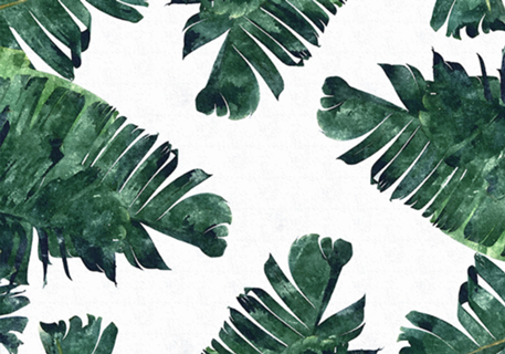 Folhas Tropicais II