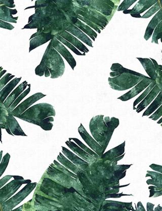 Folhas Tropicais II