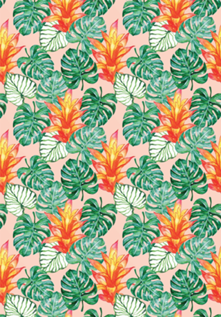 Padrão Tropical