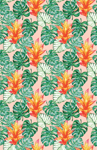 Padrão Tropical