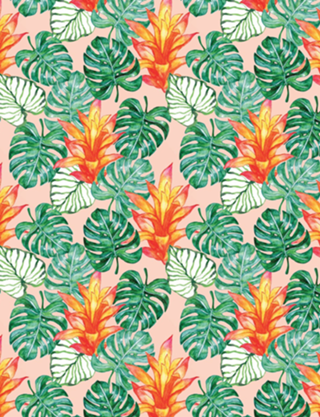 Padrão Tropical