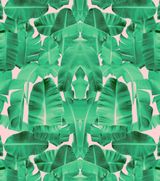 Padrão Tropical II