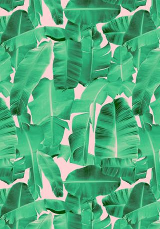 Padrão Tropical II