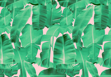 Padrão Tropical II