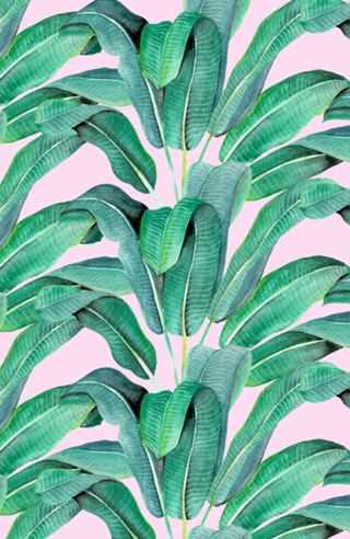 Padrão Tropical IV