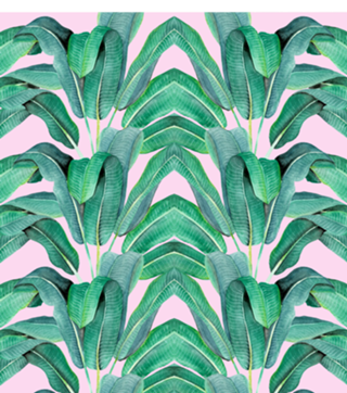 Padrão Tropical IV