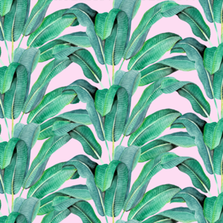 Padrão Tropical IV