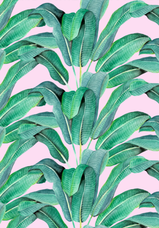 Padrão Tropical IV