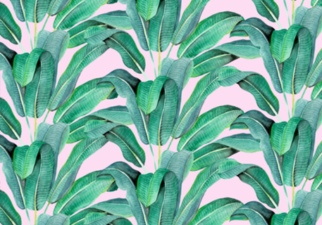 Padrão Tropical IV