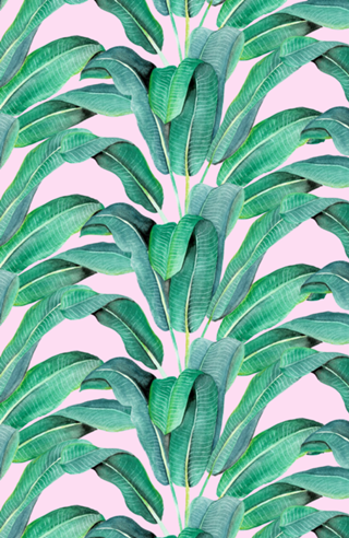 Padrão Tropical IV