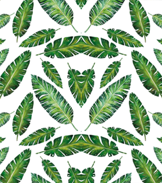 Padrão Tropical V