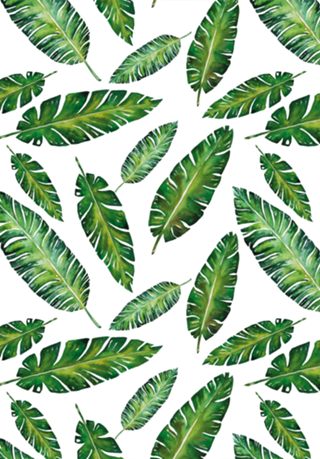Padrão Tropical V