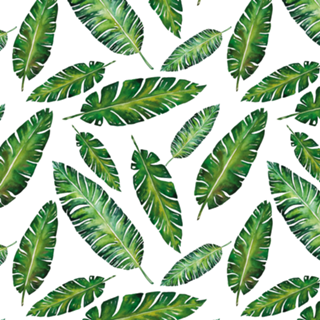 Padrão Tropical V