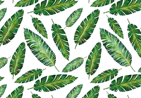 Padrão Tropical V