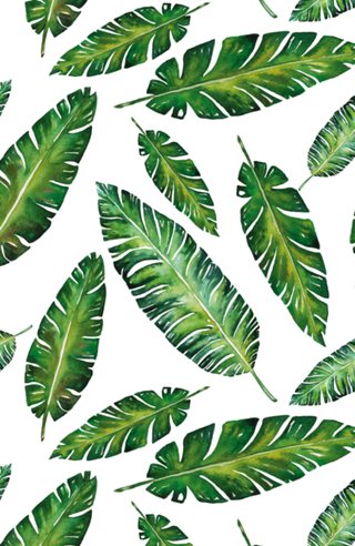 Padrão Tropical V