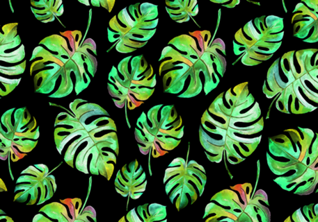 Folhas Tropicais III