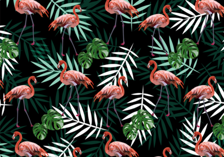 Jardim Tropical