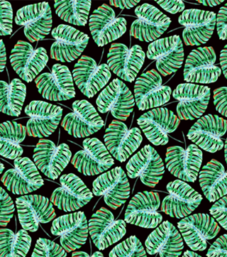 Folhas tropicais em fundo preto