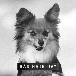 Bad Hair Day 1