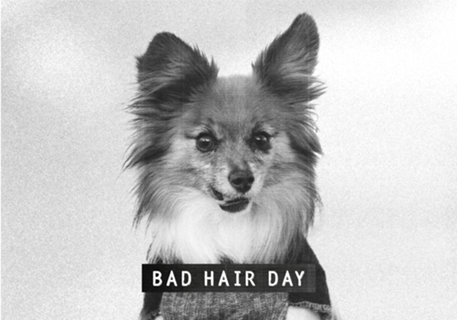 Bad Hair Day 1