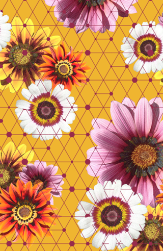 Flores e Linhas