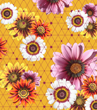 Flores e Linhas