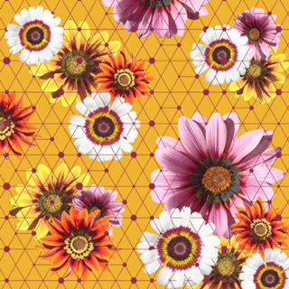Flores e Linhas