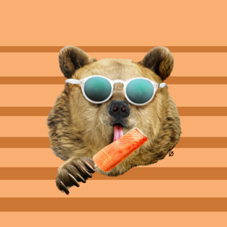 Too Cool for the Summer