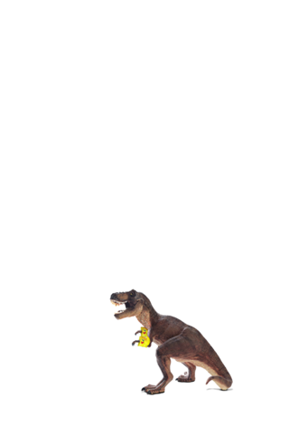 T.REX