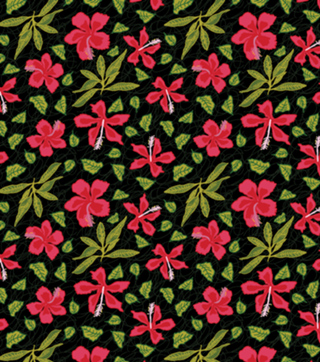 Hibiscus