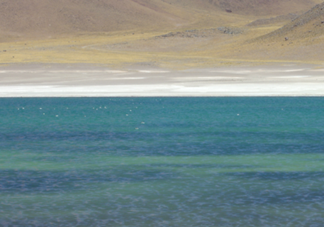 Lagunas Altiplânicas Atacama [Miñiques & Miscanti]