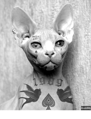 Tattoo