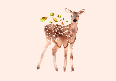 Cervidae