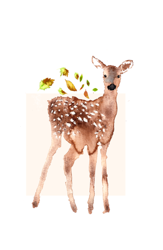 Cervidae