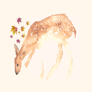 Cervidae ii