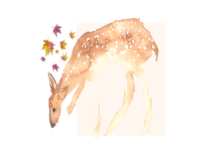 Cervidae ii