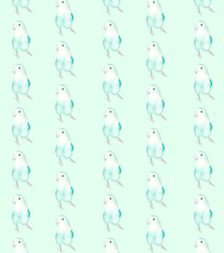 Agapornis