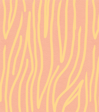 Coral stripe