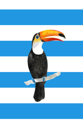 Tucano