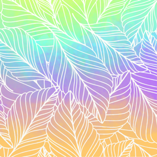Neon Jungle - Curvy Vaibz Wai