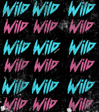 Wild 2