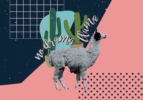 No drama Llama