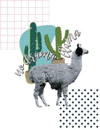 No drama Llama
