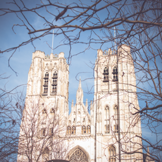 Catedral de Bruxelas
