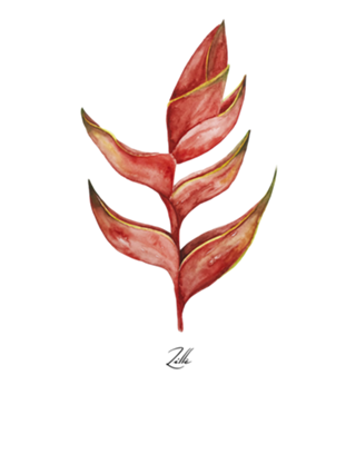 Helicônia