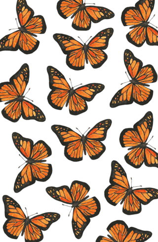Borboleta Monarca