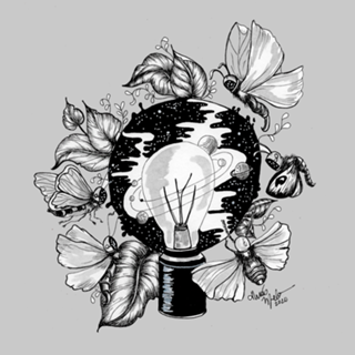 The Light